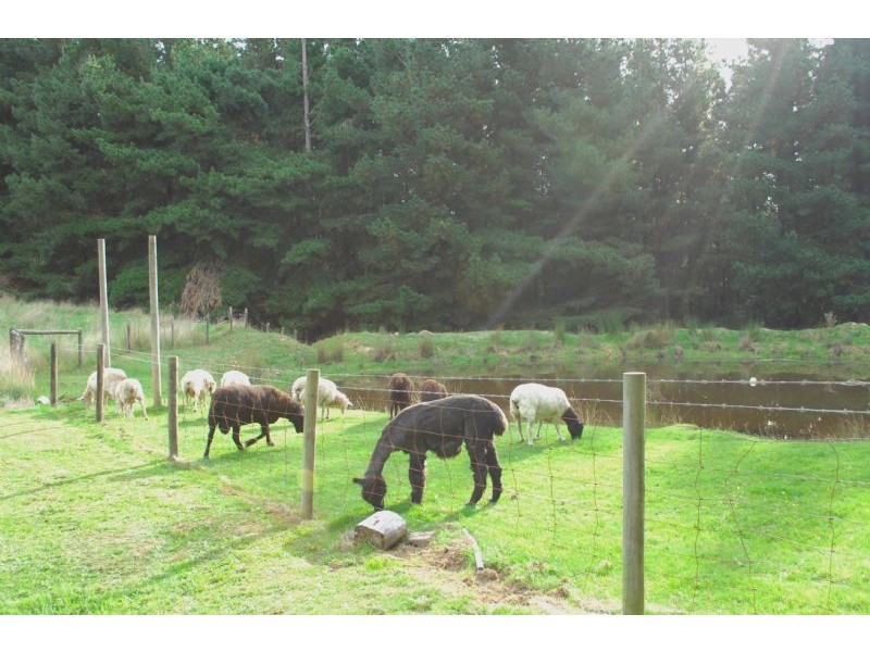 1880 Grand Ridge Road,, Boolarra South VIC 3870