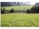750 Berrys Creek Road, Mirboo North VIC 3871