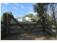1936 Yarragon-Leongatha Road, Hallston VIC 3953