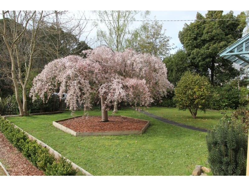 22 Ridgway, Mirboo North VIC 3871