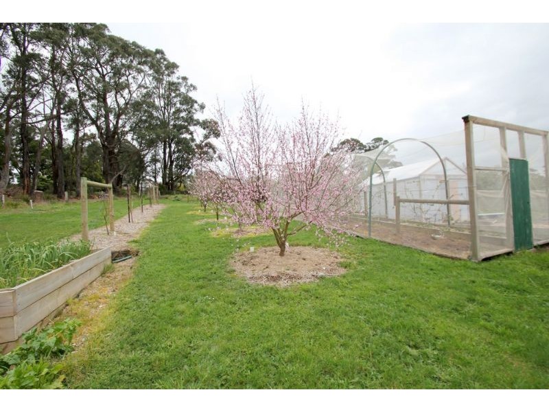 25 Josephine Crescent, Mirboo North VIC 3871