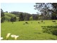 20 McCartins Lane, Mirboo North VIC 3871