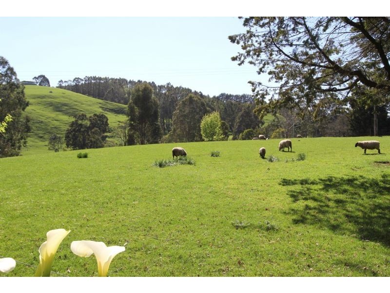 20 McCartins Lane, Mirboo North VIC 3871