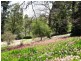 10 Treases Lane, Mirboo North VIC 3871