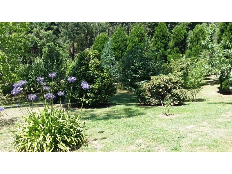 Mirboo North VIC 3871