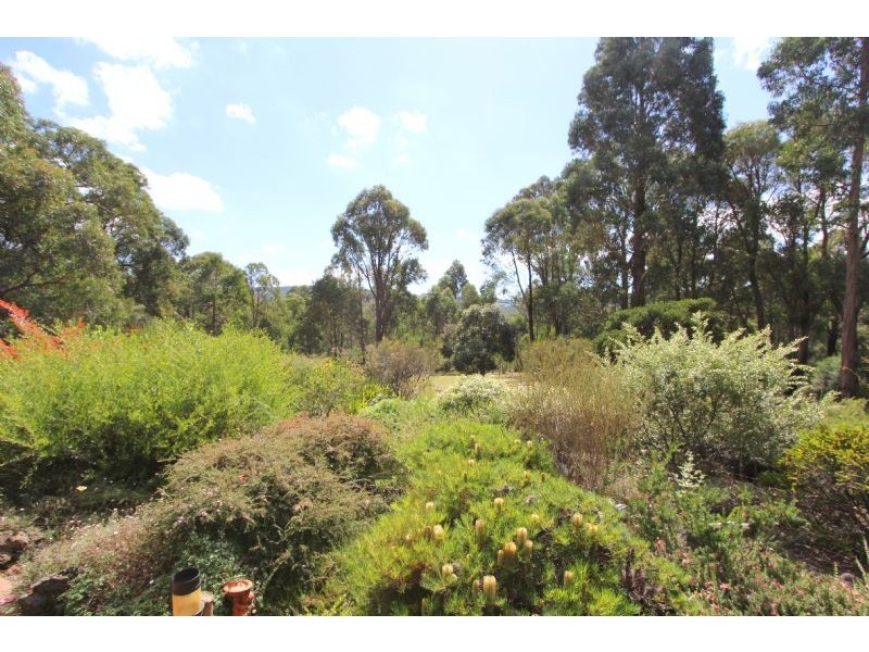 9 Grey Road, Mirboo North VIC 3871