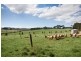 2478 McDonalds Track, Thorpdale VIC 3835