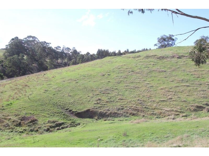 41 Munros Road, Mirboo North VIC 3871