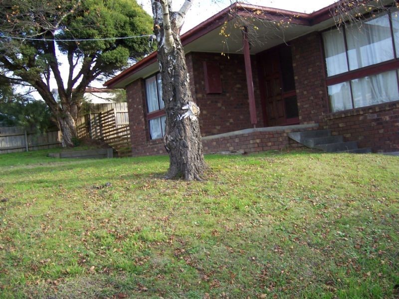 Mirboo North VIC 3871