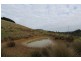 555 Central Road, Turtons Creek VIC 3960