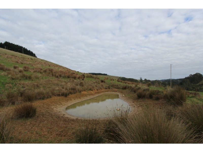 555 Central Road, Turtons Creek VIC 3960