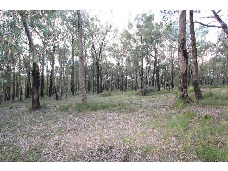 Lot 6 Muirhead Drive, Mirboo North VIC 3871