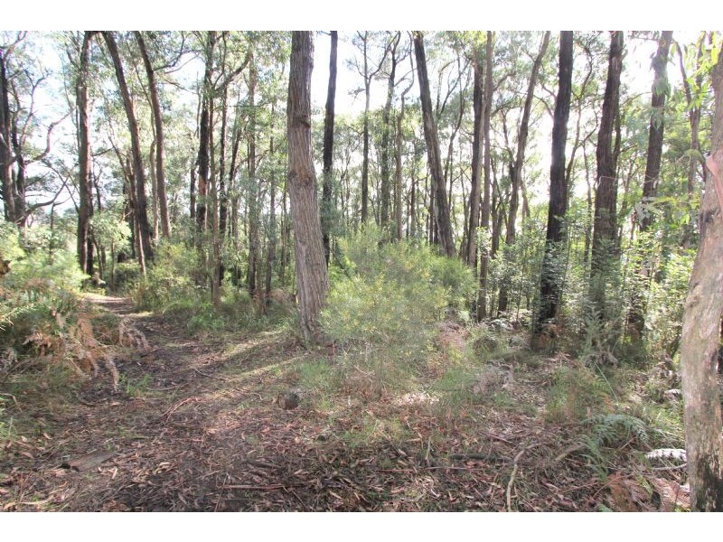 9 Wanke Road, Mirboo North VIC 3871