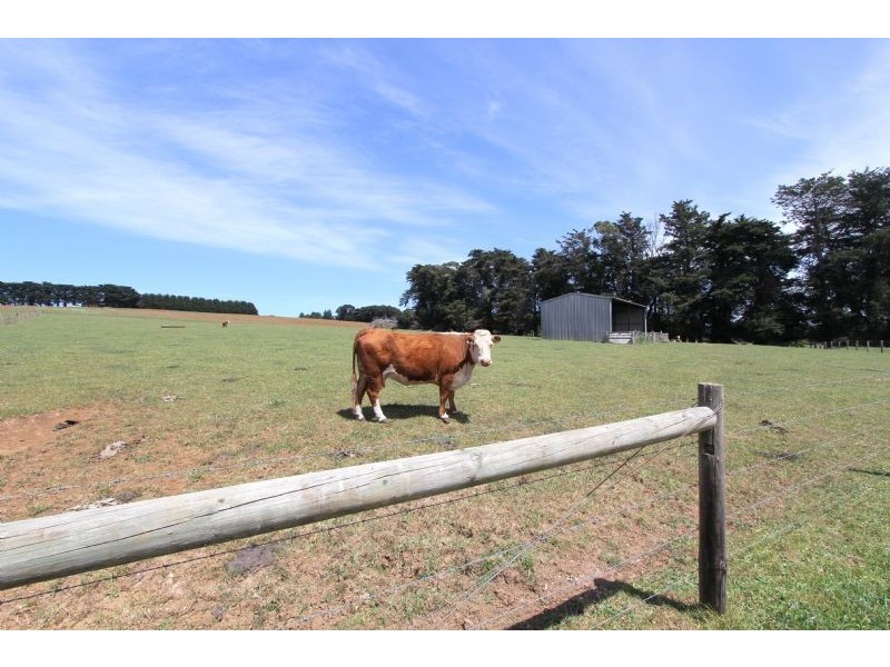 2160 Meeniyan- Mirboo North Road, Mirboo North VIC 3871