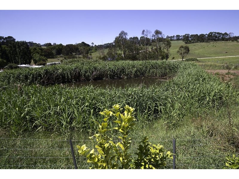 330 St Ellens Road, Mirboo North VIC 3871