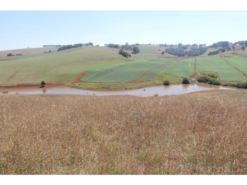 610 Ten Mile Creek Road, Delburn VIC 3871