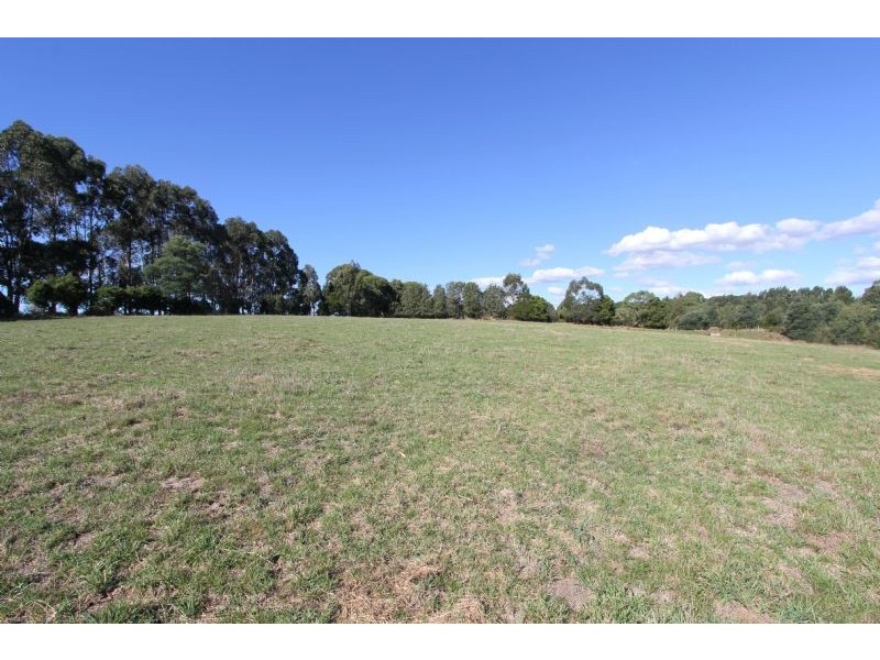 - Napiers Lane, Mirboo North VIC 3871
