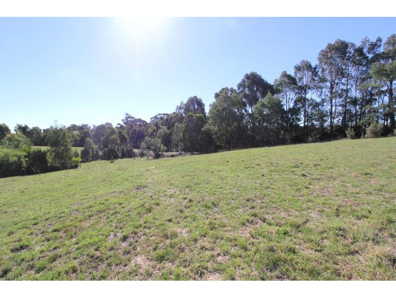 - Napiers Lane, Mirboo North VIC 3871