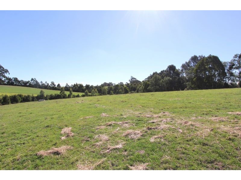 - Napiers Lane, Mirboo North VIC 3871