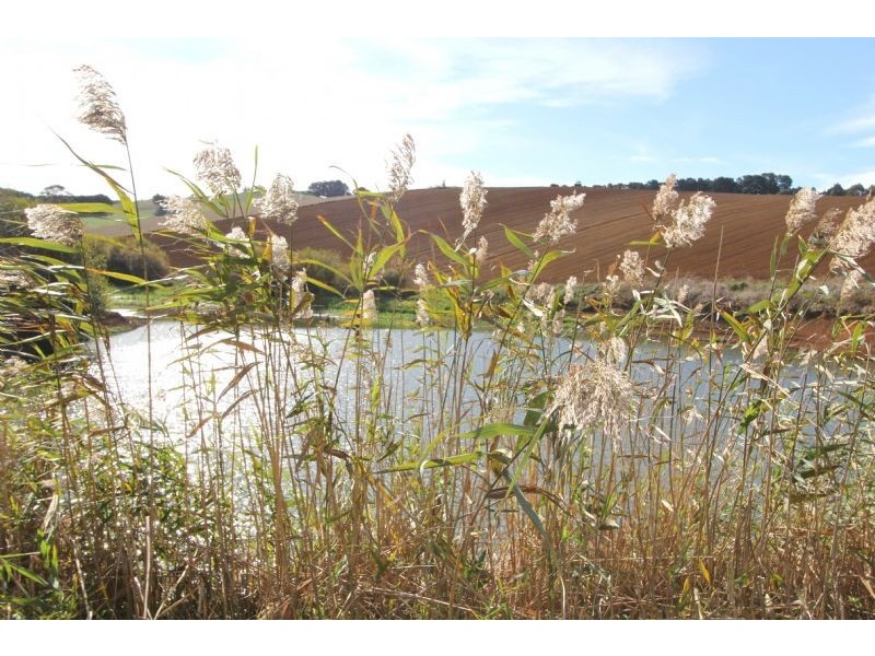 82 Wembridges Road, Mirboo North VIC 3871