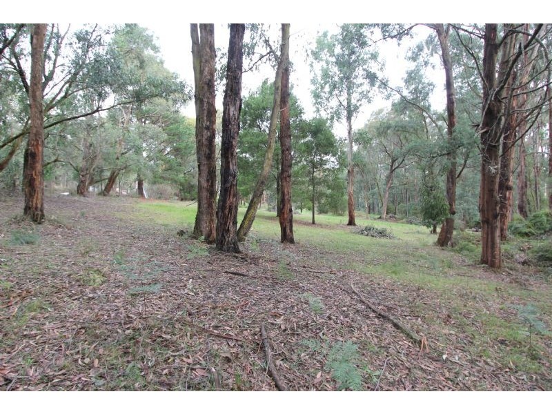 2608 Strzelecki Highway, Mirboo North VIC 3871