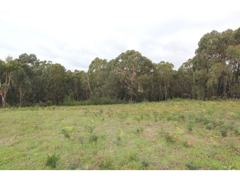 8 Gilfedder Terrace, Mirboo North VIC 3871
