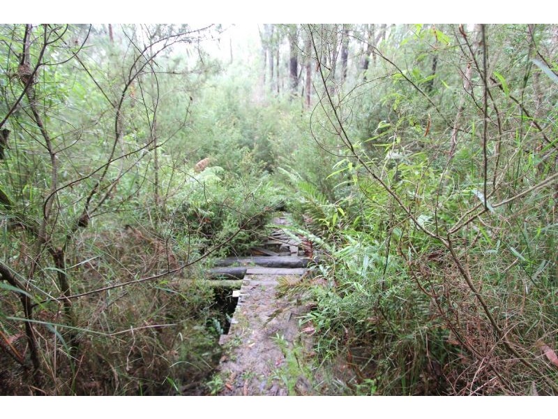 8 Gilfedder Terrace, Mirboo North VIC 3871