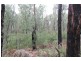 8 Gilfedder Terrace, Mirboo North VIC 3871