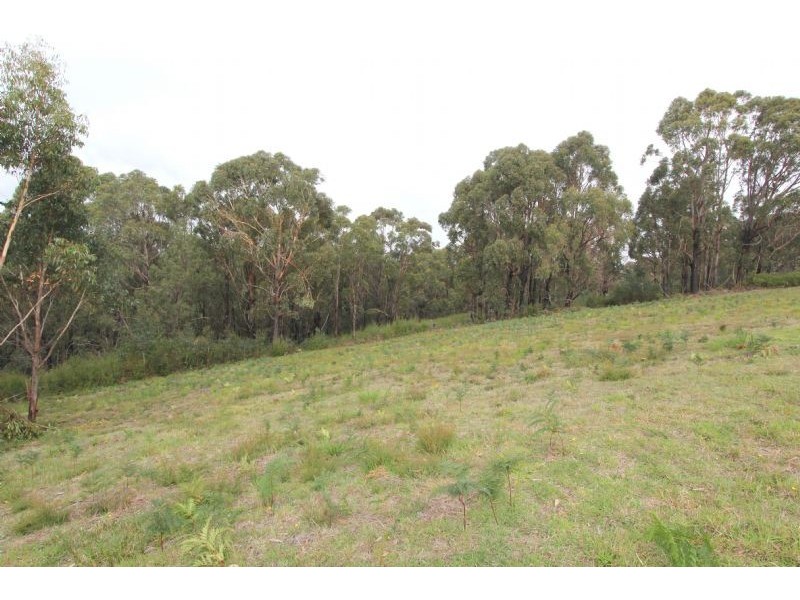 8 Gilfedder Terrace, Mirboo North VIC 3871