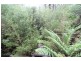 8 Gilfedder Terrace, Mirboo North VIC 3871