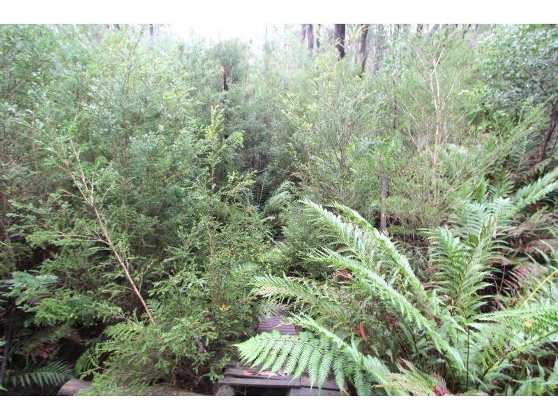 8 Gilfedder Terrace, Mirboo North VIC 3871
