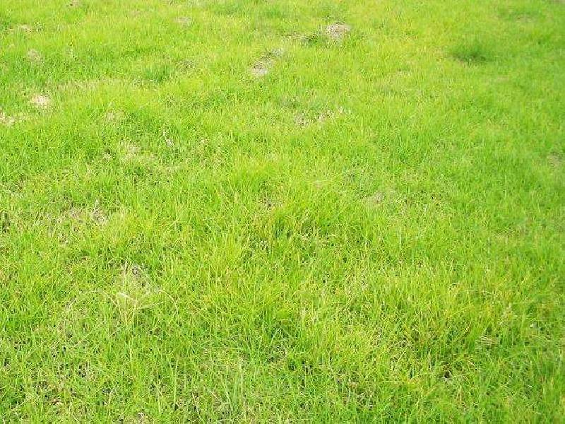 12 Labulla Court, Clifton Springs VIC 3222