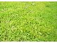 Lot 136 Leonard Drive, Drysdale VIC 3222