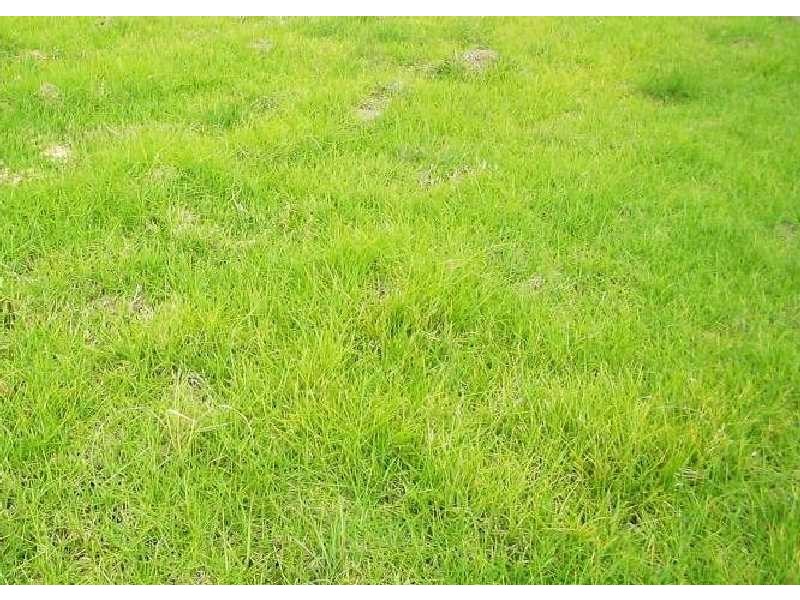 Lot 98 Gidgee Mews, Clifton Springs VIC 3222