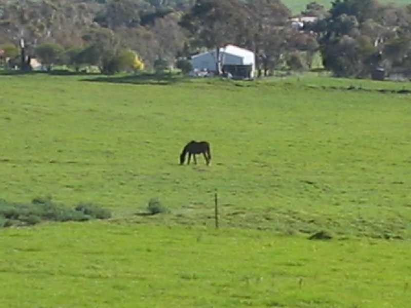 10 Flinders View Drive, Drysdale VIC 3222