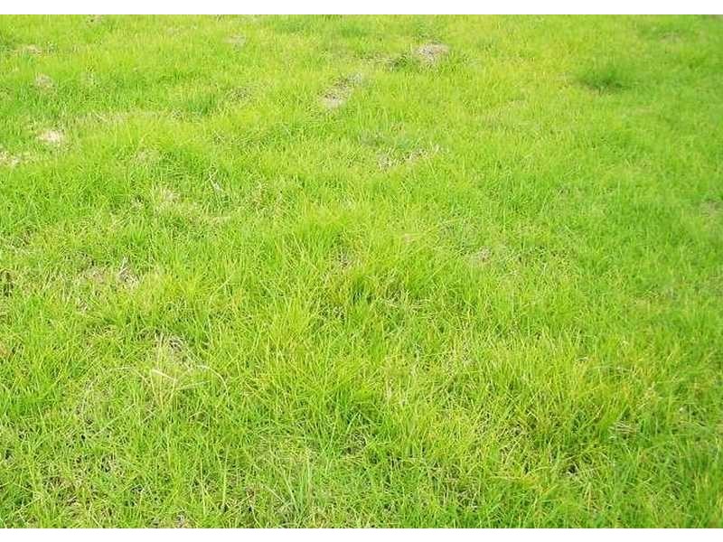 105 Bayshore Avenue, Clifton Springs VIC 3222