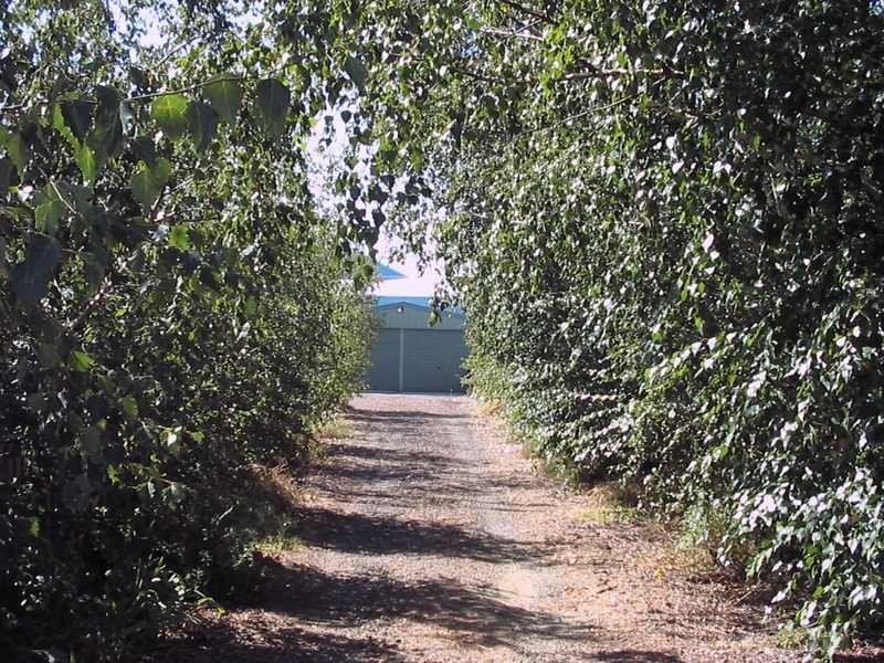 14 Ryan Court, Drysdale VIC 3222