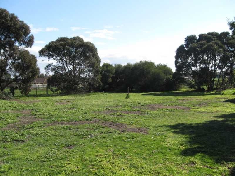 17 Buccleugh Street, Drysdale VIC 3222