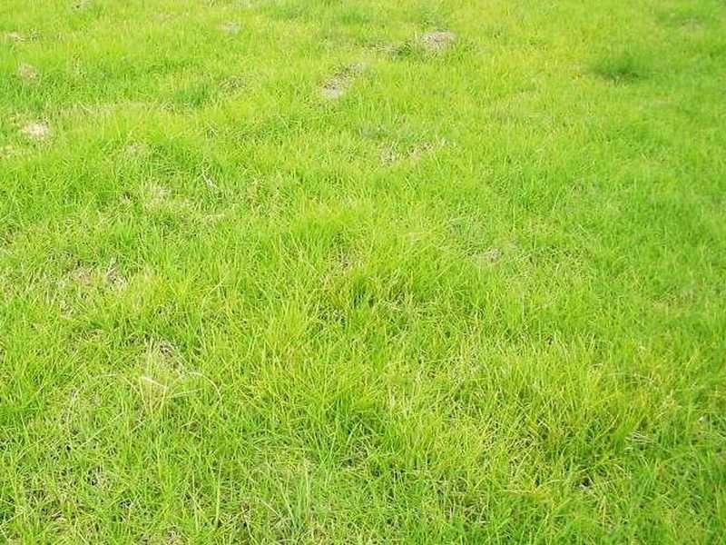 7 Parkway Place, Clifton Springs VIC 3222