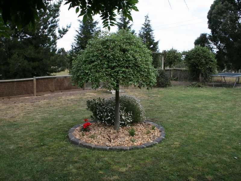 10-12 Crimea Street, Drysdale VIC 3222