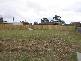Portarlington VIC 3223