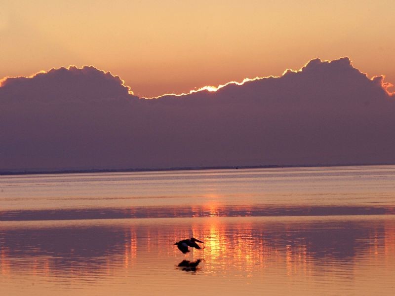 3 Tristania Court, Portarlington VIC 3223