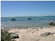 Indented Head VIC 3223