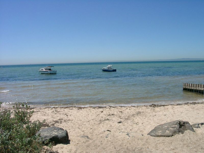 Indented Head VIC 3223