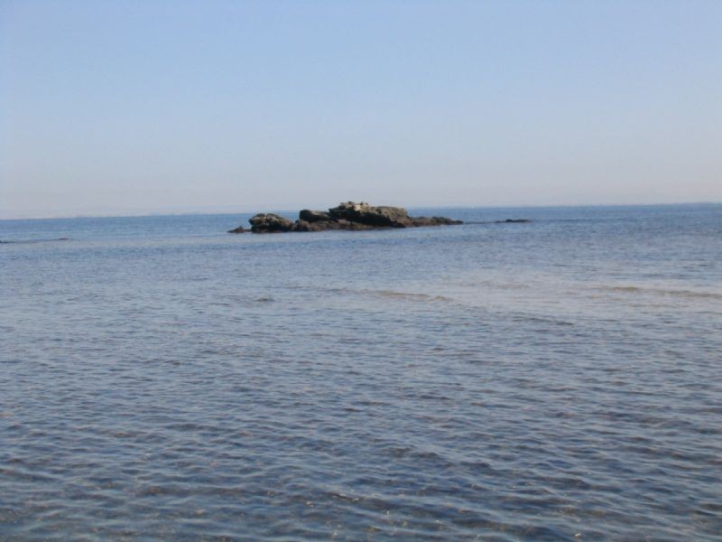 43 Tower Rd, Portarlington VIC 3223