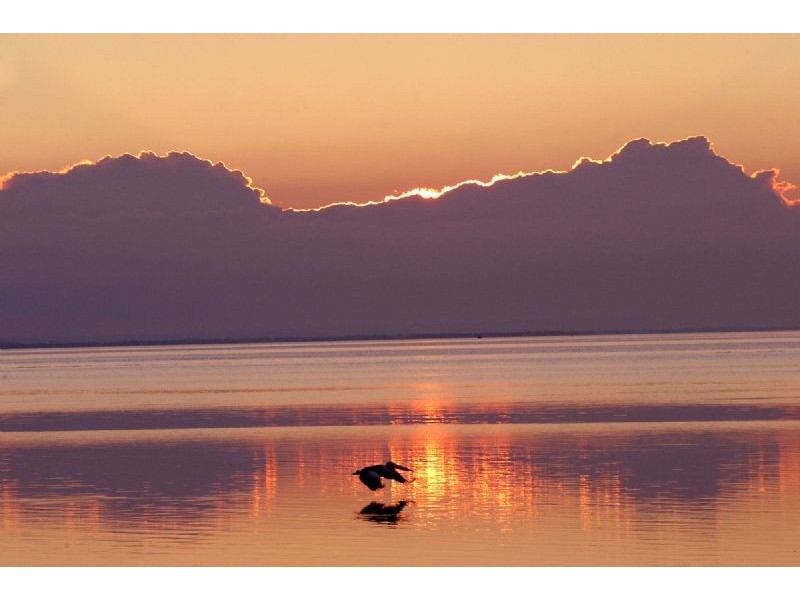 Lot 304 Sandbar Close, St Leonards VIC 3223