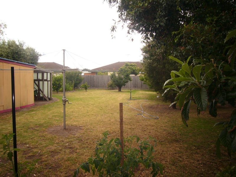 3 Seaview Avenue, St Leonards VIC 3223