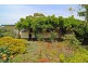 53 Payne Street, Portarlington VIC 3223