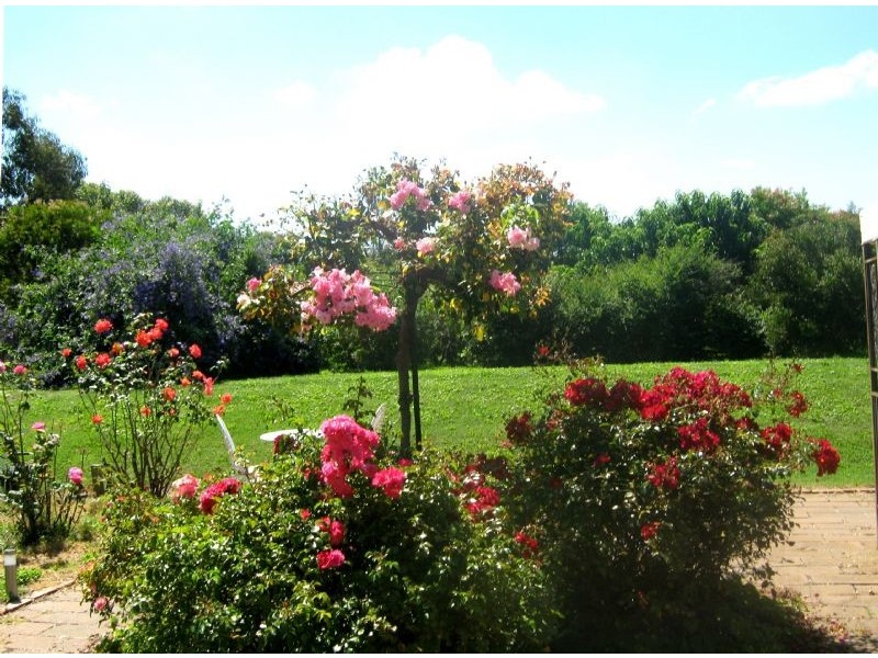 245 Tower Road, Portarlington VIC 3223