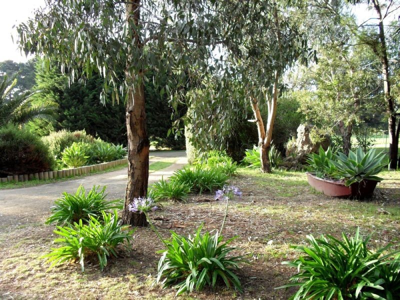 60 Moreland Road, St Leonards VIC 3223